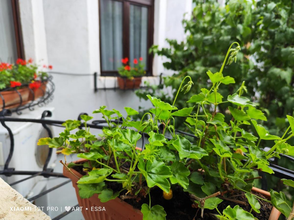 Apartament Buon Gusto,Near Main Square And Liar Bridge,Historical Side Of City Center Σίμπιου Εξωτερικό φωτογραφία